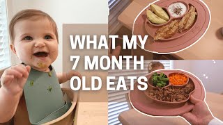 what my 7 month old eats in a day + grocery list for baby | BLW, purees & breastfed