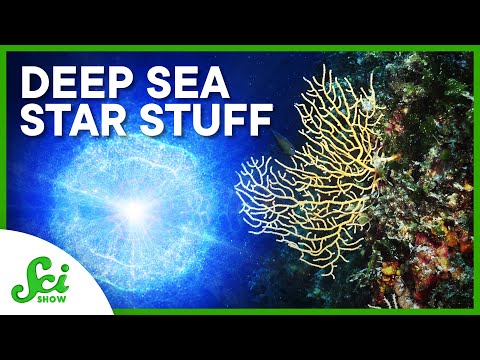 Studying Supernovas From the Bottom of the Ocean thumbnail