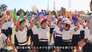タグラグビーの動画