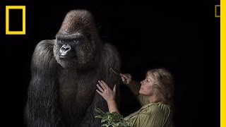 Taxidermy Brought to Life in Amazing Photos | Exposure