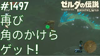 ゼルダの伝説 ブレス オブ ザ ワイルド & 知恵のかけら ゼルダの伝説 知恵のかりもの】全150個の力のかけらの場所ご紹介
