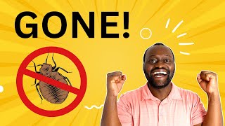 How to GET RID of BED BUGS in 2026