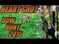 BowHunting Deer Kill PERFECT HEART SHOT!   - 2015