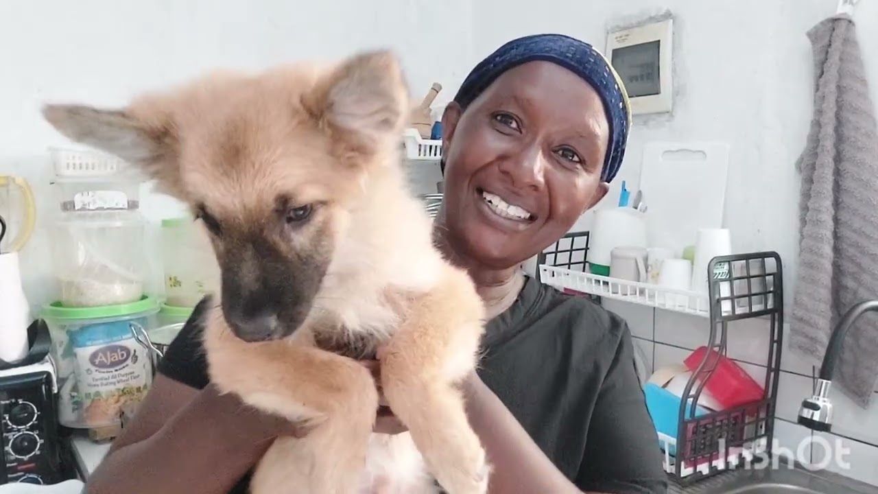 LET'S BOIL ARROWROOT AND CASSAVA FOR BREAKFAST 