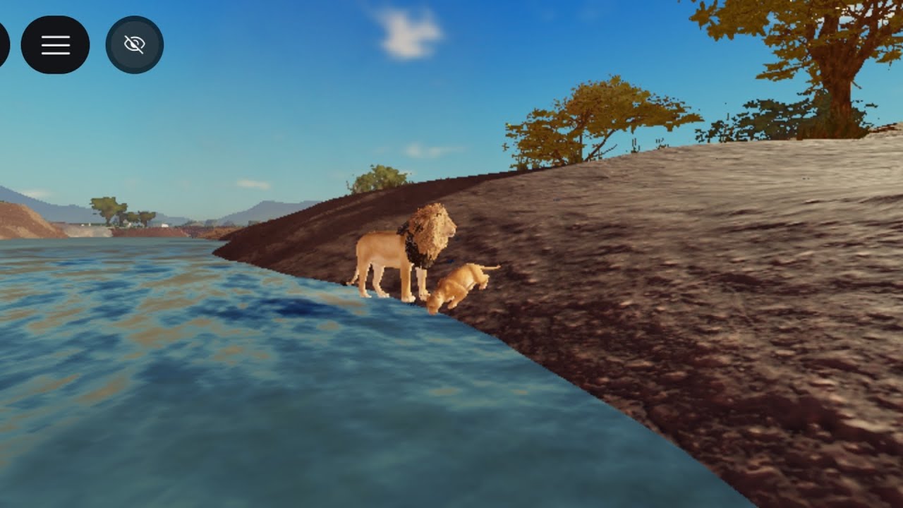 Jogando de leão pela savana 🦁🦁