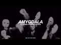 Amygdala  agust d  suga bts   english lyrics