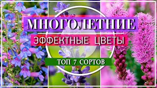 7 ЭФФЕКТНЫХ МНОГОЛЕТНИХ ЦВЕТОВ ИЗ СЕМЯН  / ОБЯЗАТЕЛЬНО ПОСЕЙТЕ ИХ В ФЕВРАЛЕ