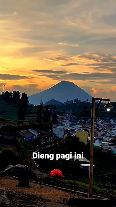 Dieng sunrise shorts