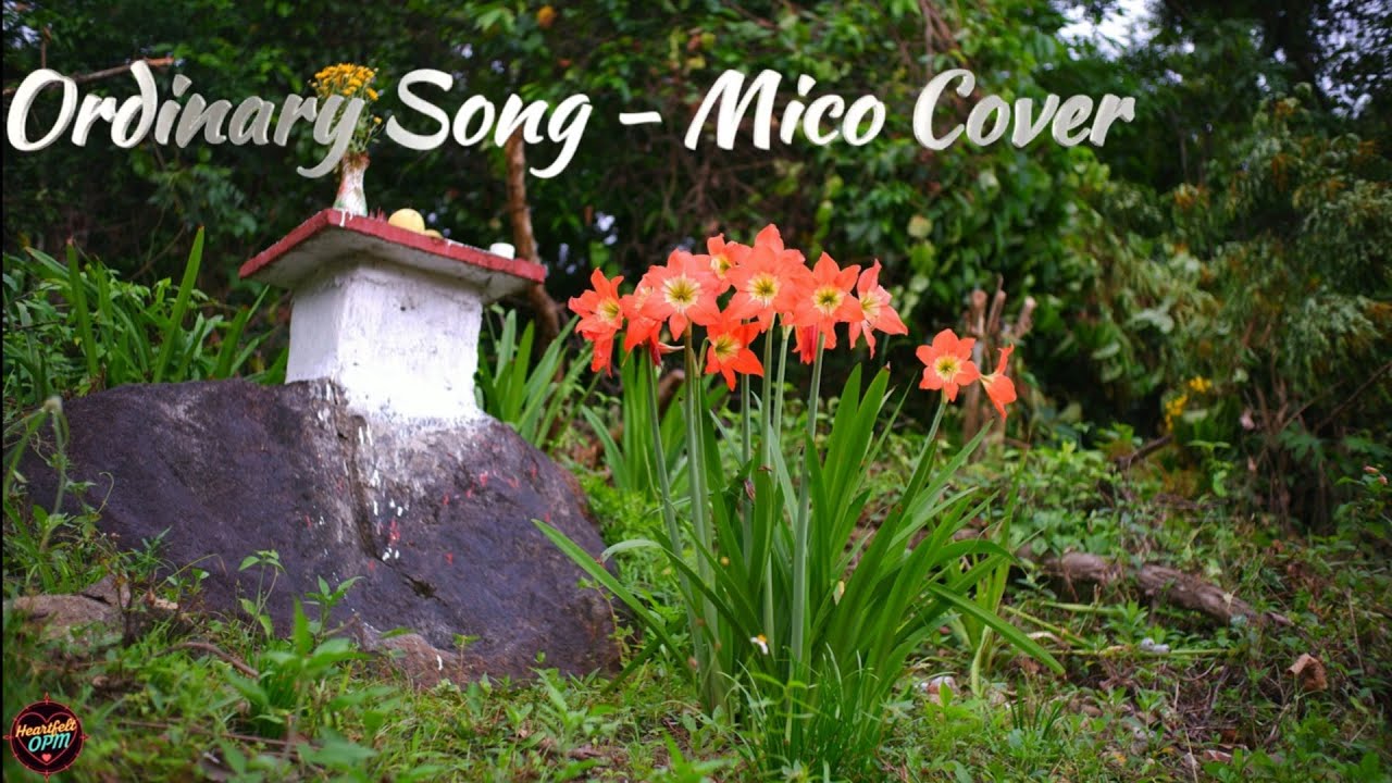 Ordinary Song - Cover
