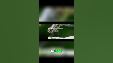 Authenticity: The Key to Trust, Respect, and Success