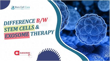 Stem Cells vs Exosomes | What’s the Difference in Therapy?