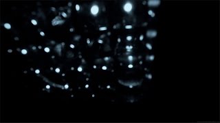 Light Leaks Element 481