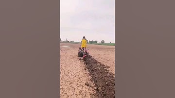 #Multi-function micro-tillage machine #Good helper for farmers #Rotary tillage machine for orchard