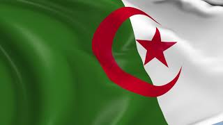 علم الجزائر 4K