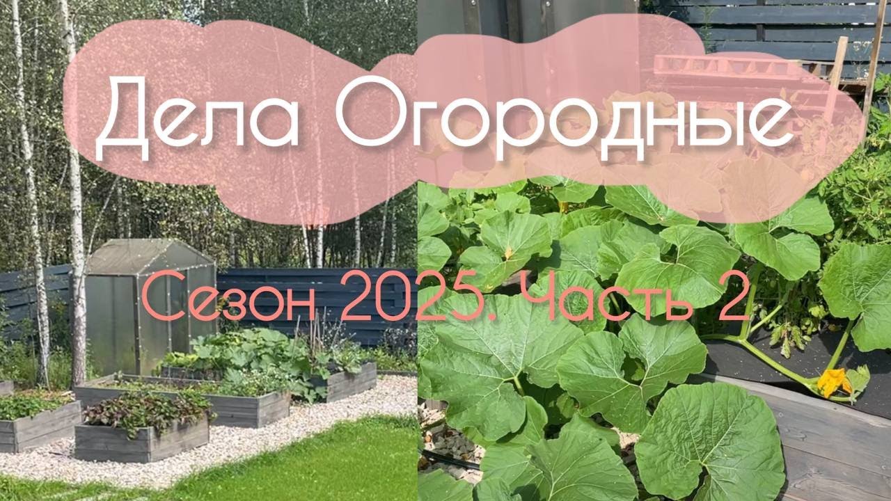 Ухаживаю за огородом. Высокие грядки)