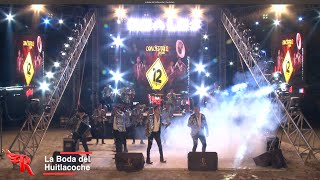 Video thumbnail of "Banda Los Reales - La Boda Del Cuitlacoche  / El Son Del Tlacololero CONCIERTO VIRTUAL 2"