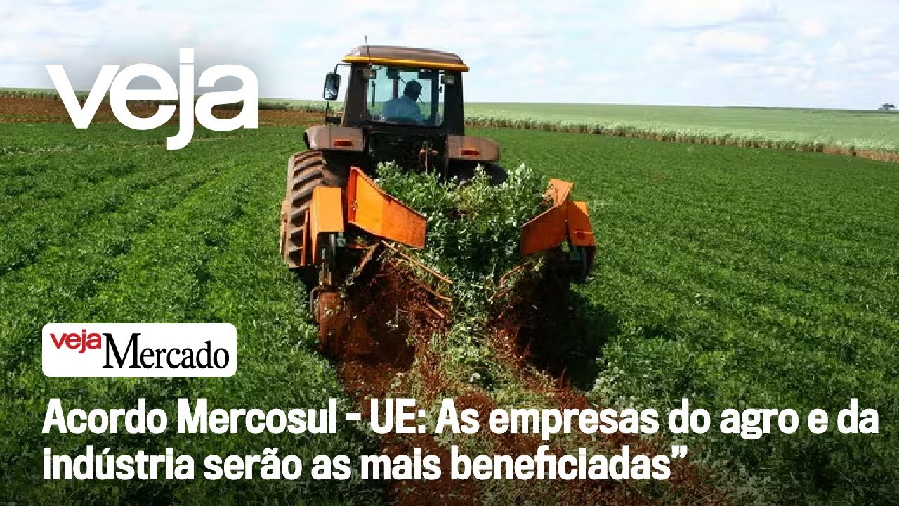 Acordo Mercosul - UE: As empresas do agro e da indústria serão as mais beneficiadas” | Mercado