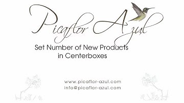 Easy Help Zen Cart Tutorial: How to Set the Number of New Products Shown in Center boxes