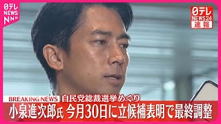 【速報】小泉進次郎元環境相  自民党総裁選  今月30日に立候補表明の方向