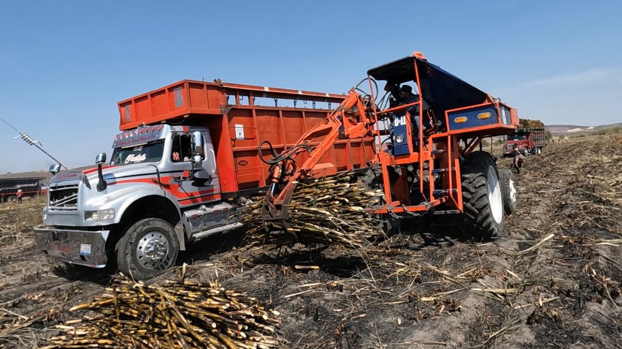 La Galarza Campo Zafra 2023 PARTE 2