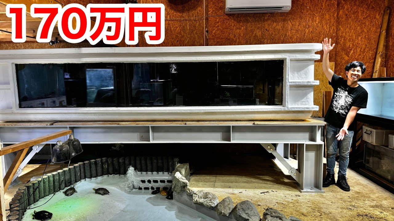 170万円かけてピラルクを飼う為の超巨大水槽を設置しました