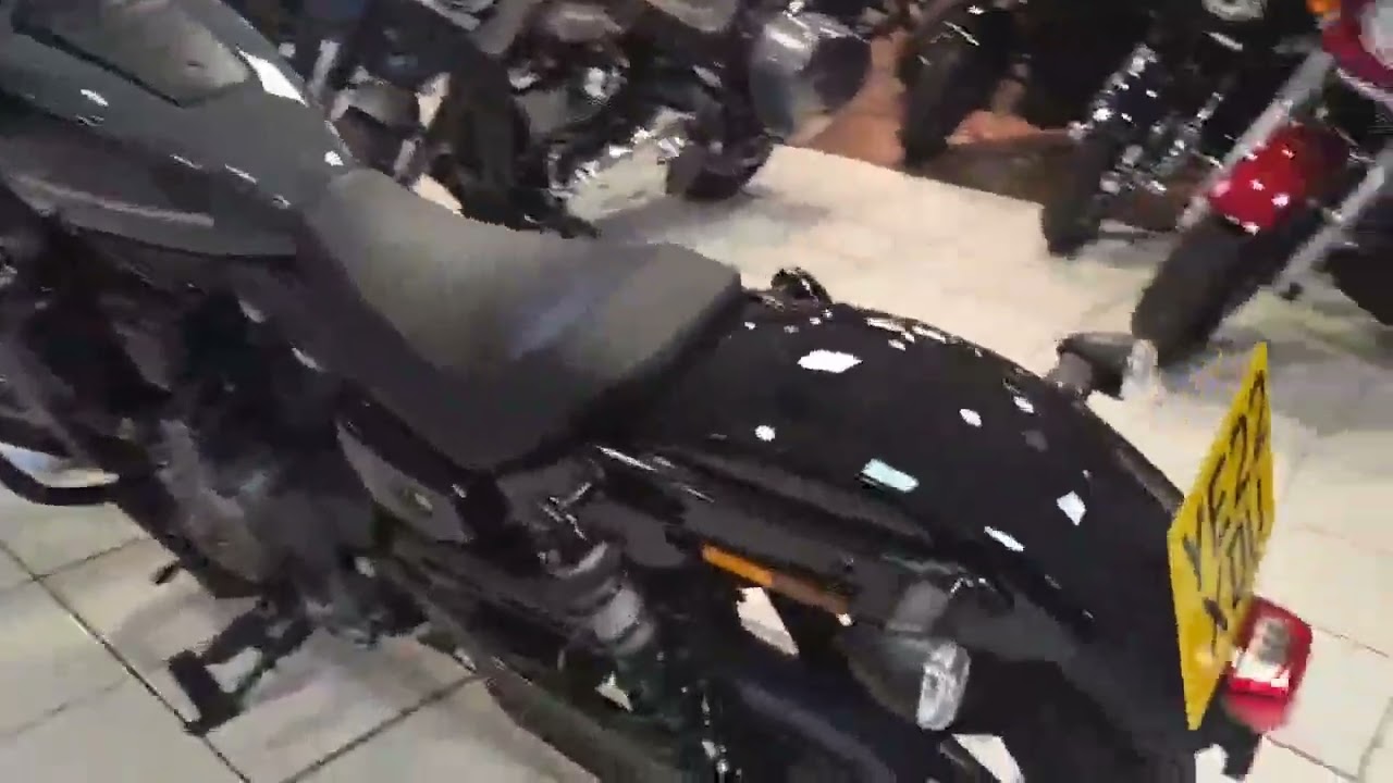 Harley-Davidson 2022 NIGHTSTER 975 - Available at Iron City Motorcycles