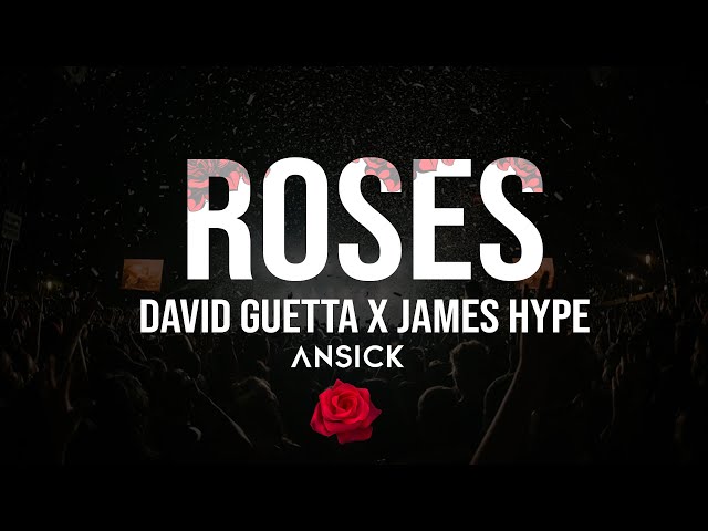 SAINt JHN - Roses ( David Guetta X James Hype ) Mashup Ansick class=