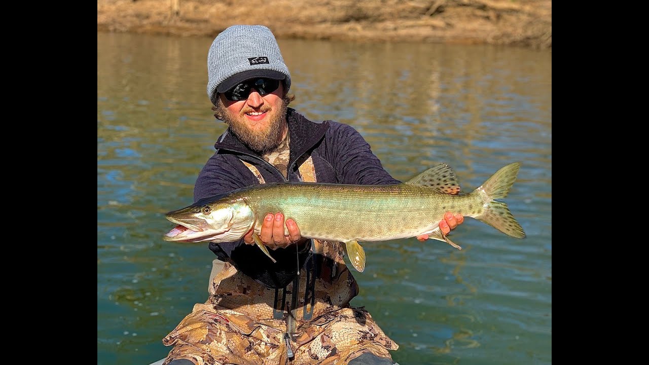 Mossy Creek Fly Fishing Forecast 1/19/21 YouTube