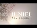 [MR / 노래방 / 보컬제거] 주니엘-さくら~とどかぬ想い~ JUNIEL-Sakura Todokanu Omoi 벚꽃 닿지 않는 마음