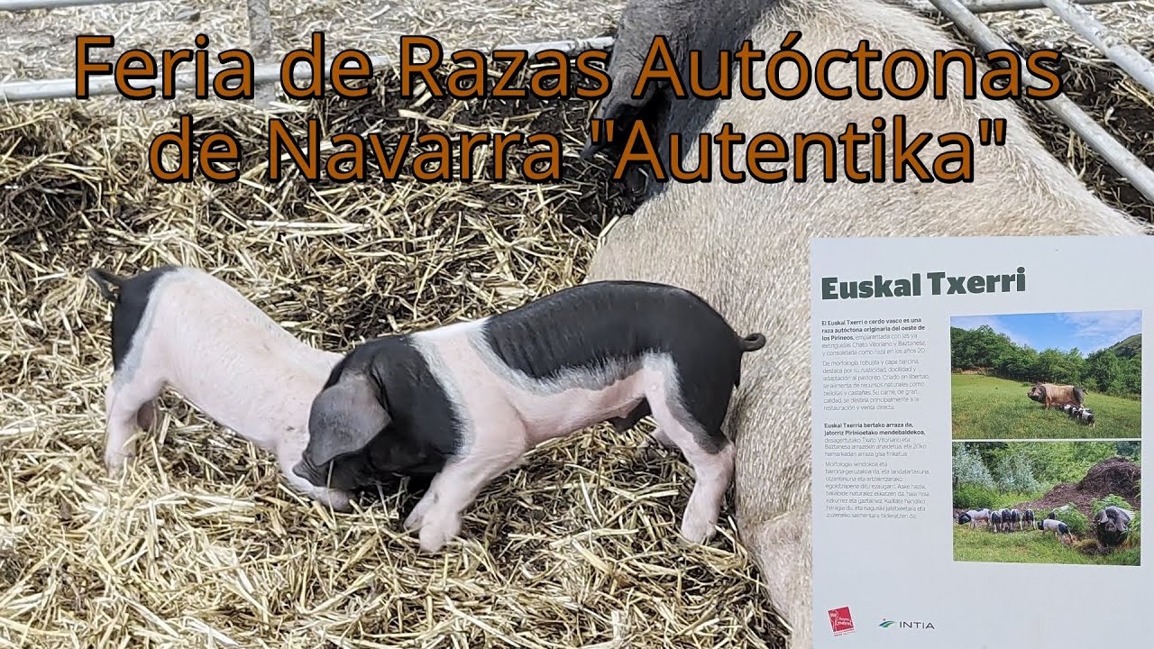 Feria de Razas Autóctonas de Navarra, 