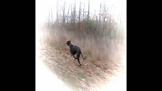 Jaso - Dont Hold It All In