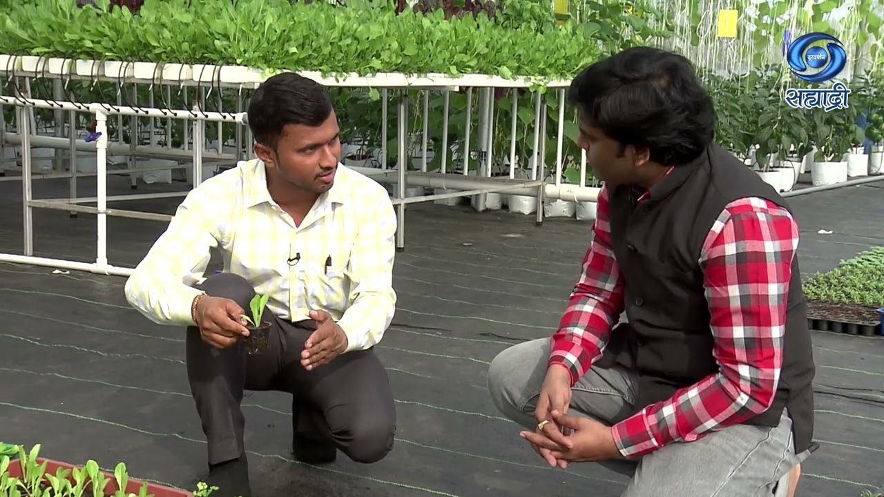 हायड्रोपोनिक तंत्रज्ञान काळाची गरज | Krishidarshan | HD | विशाल माने | कृषीदर्शन | 08.03.2022