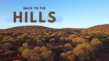 Back to the Hills:  A Metal Detecting Adventure