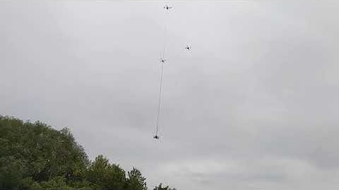 Collaborative Payload Transport