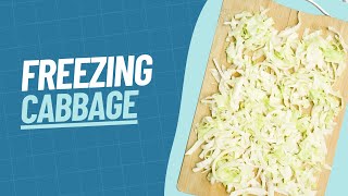 How to Freeze Cabbage | Our Method for Freezing Cabbage