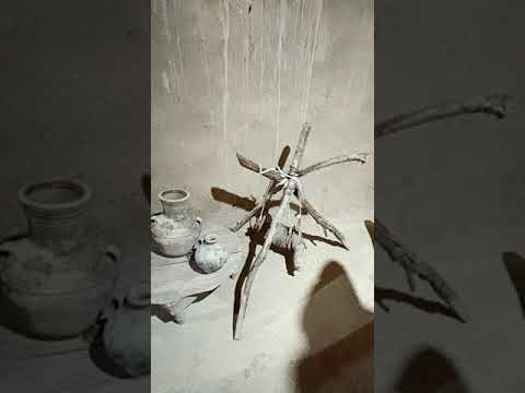 Moroccan Praying Mantis Gold Moroccan Adventures Join Us In Nov 2025 Moroccanroses Yahoo Com 