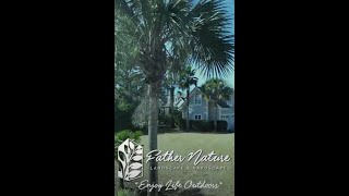 Transforming the Outdoors: Palm Tree & Landscape Beautification