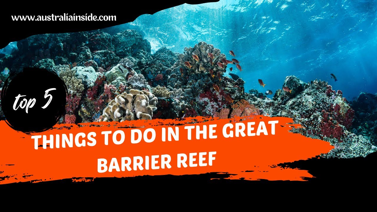 ⁣Things To Do In The Great Barrier Reef