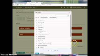 Creating a Custom Widget in D2L