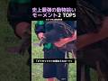 史上最強の動物拾いモーメント2 TOP5