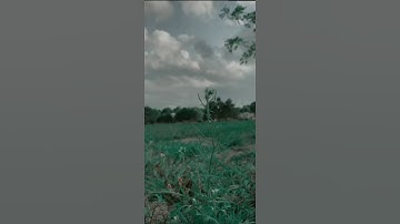 وَمَا بِكُم مِّن نِّعْمَةٍ فَمِنَ الله۝ بصوت القارئ عبد الرحمن مسعد🍂