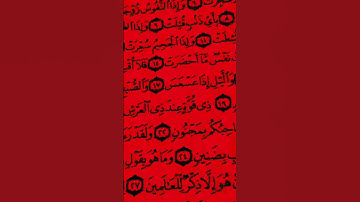 آيات من الذكر الحكيم القرآن الكريم سورة التكوير #صلوا_على_النبي