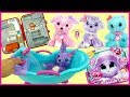 Sophie Rescues a Lilac Scruff A Luv and goes Toy Hunting at Walmart | Kids Pretend Play video