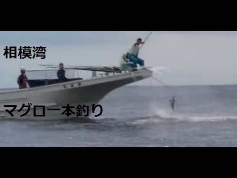 マグロ一本釣り相模湾 Youtube マグロ一本釣り相模湾 Youtube