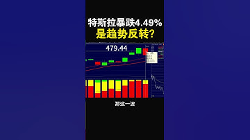 【特斯拉暴跌 4.49%，是趋势反转，还是系统性恐慌下的中场调整？】#特斯拉股票 #美股 #股哥说美股 #tesla #马斯克 #AI #FSD #木头姐 #Robotaxi