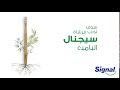 توقفت عن استخدام الأكياس البلاستيكية؟ستحب فرشاة سيجنال البامبو الطبيعي.