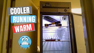 True Reach in cooler is not cooling by REFRIGERATION KITCHEN TECH 18,126 views 1 year ago 8 minutes, 20 seconds