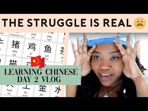 My brain HURTS! Learning Chinese: Vlog #2