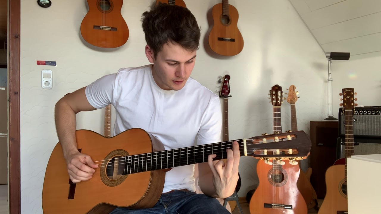 Strohmer Vollmassive Konzertgitarre 1992