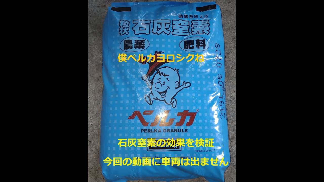 石灰窒素を入れた田んぼと入れていない田んぼのその後